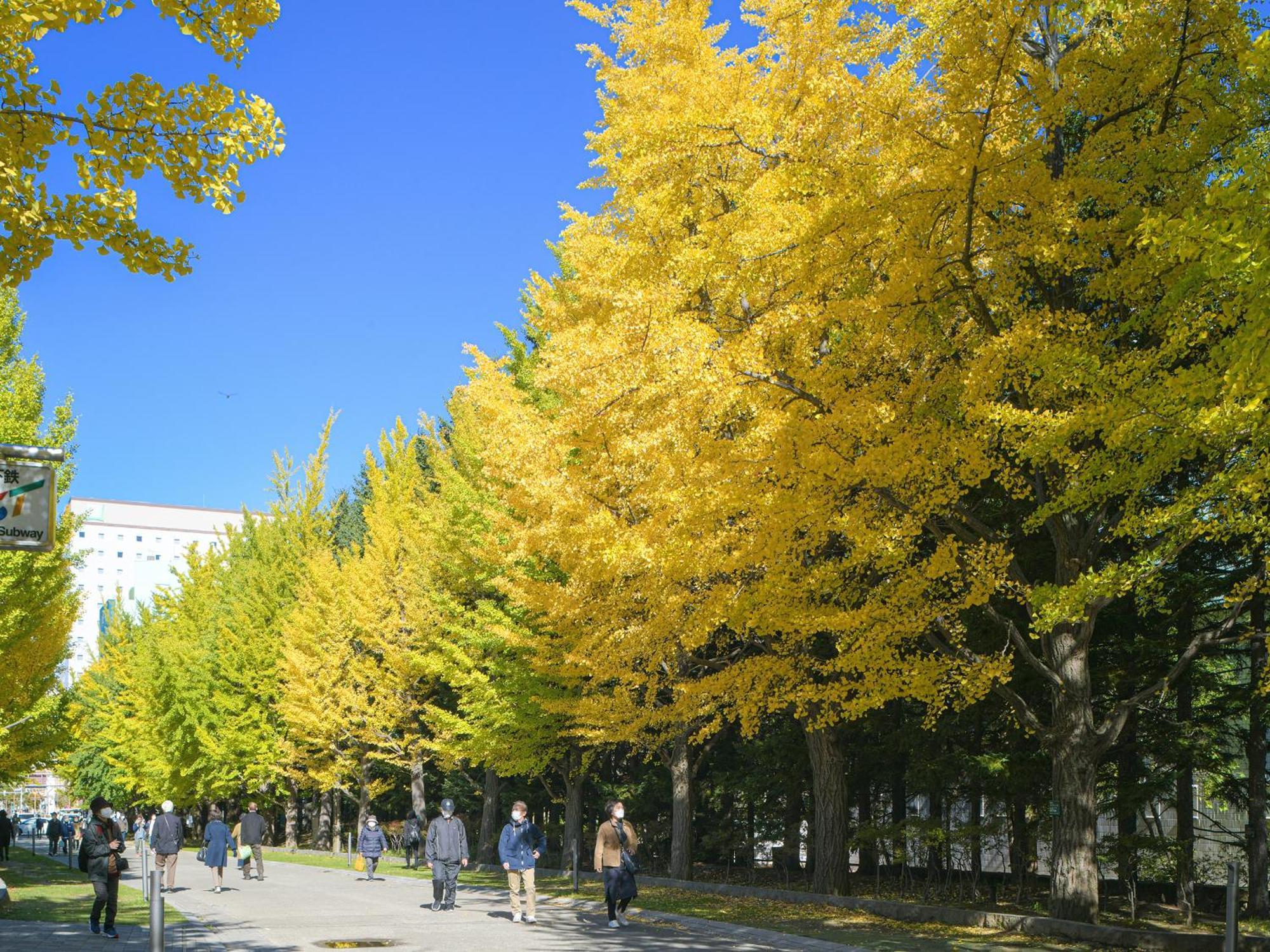 Vessel Inn Sapporo Nakajima Park מראה חיצוני תמונה